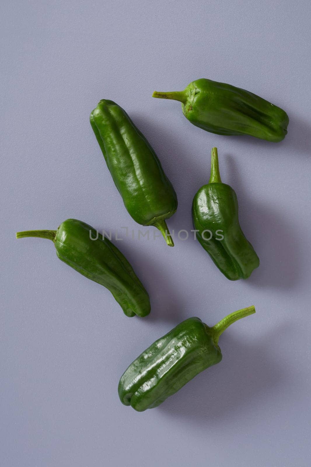 Five fresh whole pods of hot pungent spicy green jalapeno chili pepper for seasoning and flavoring cooking on a grey background