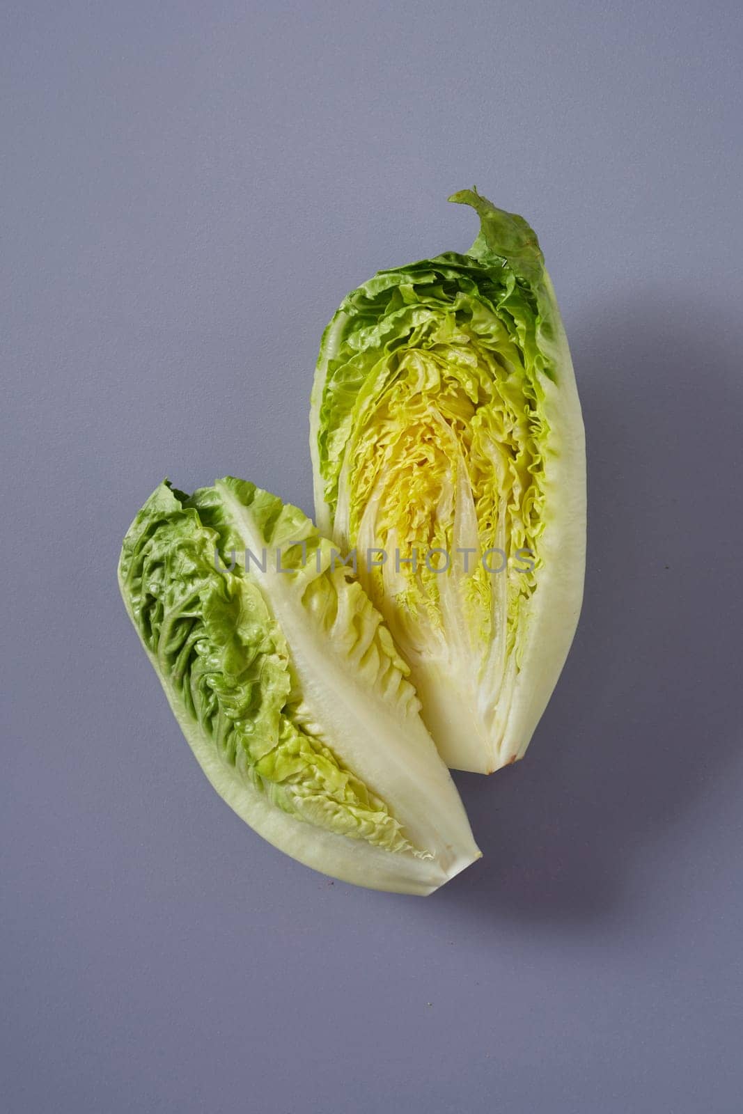 Halve head of fresh green Chinese or Napa Cabbage showing the crinkly leaves for cooking or a salad on a grey background