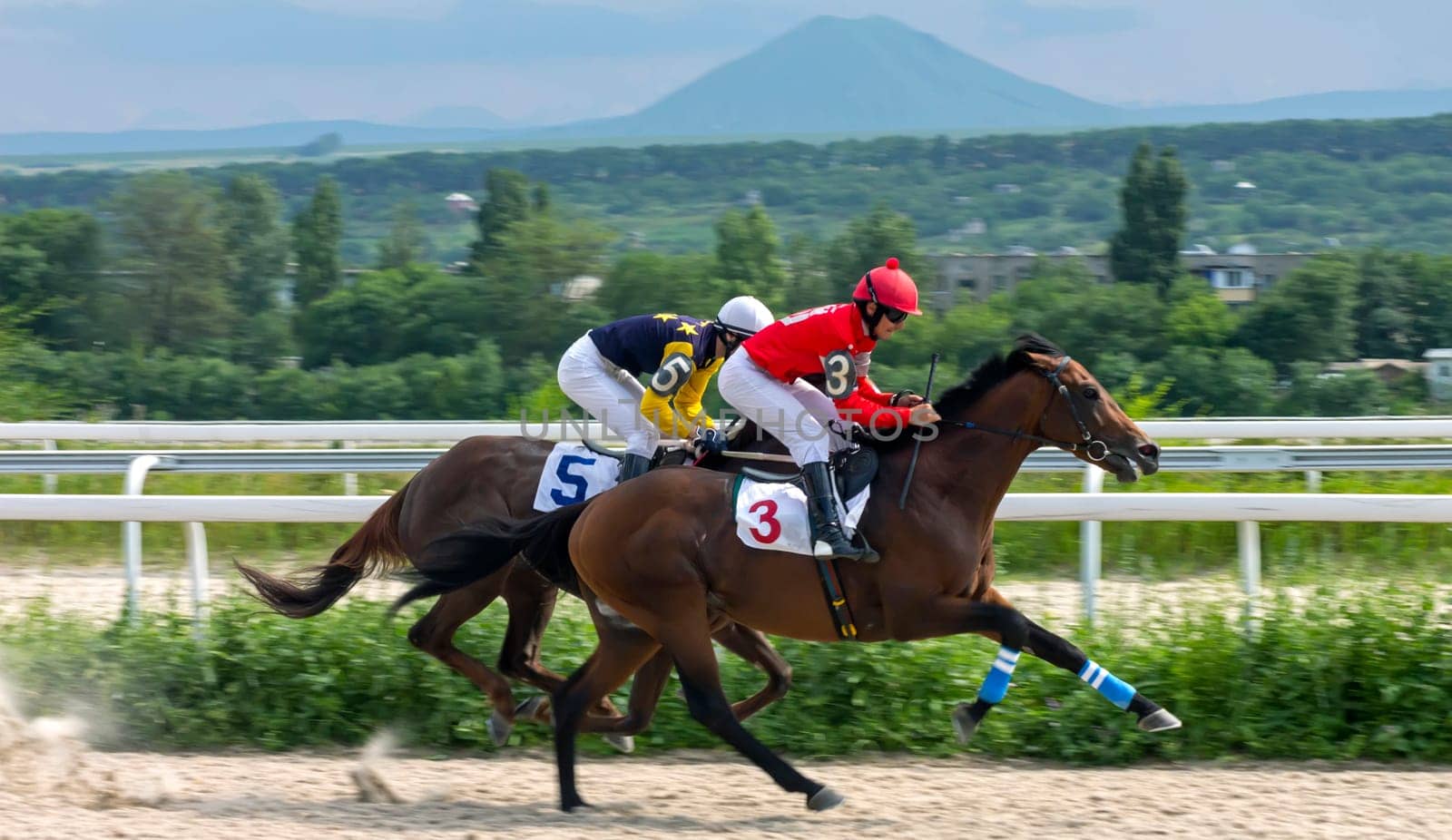 PYATIGORSK, RUSSIA - JUNE 23,2019: Finish horse race of the traditional  prize 'Duglasa" on Pyatigorsk hippodrome,Northern Caucasus,Russia."