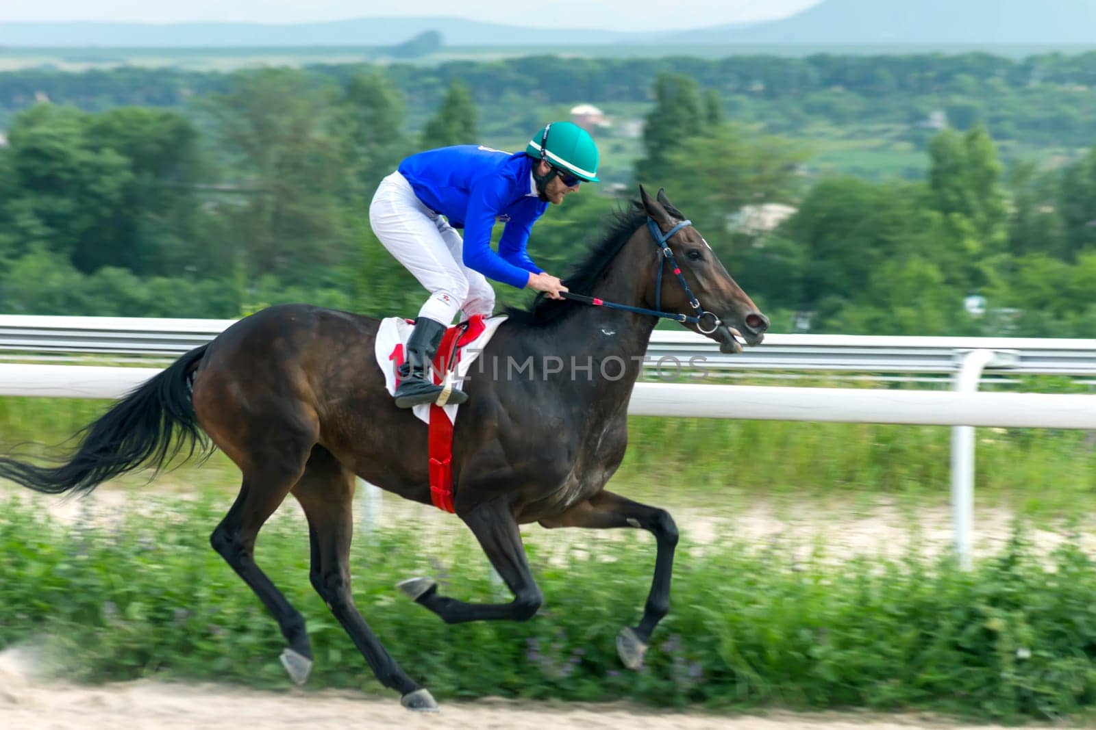 PYATIGORSK, RUSSIA - JUNE 23,2019:Hhorse race on prize Ogranichitelni in Pyatigorsk hippodrome,Northern Caucasus, Russia.Brown mare Belle de Jour crosses the finish line.