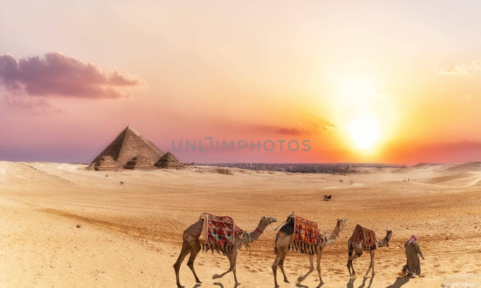 Giza desert scenery with Pyramids and camels at sunset.
