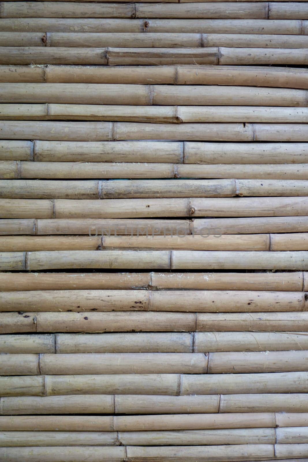 Dry bamboo wall.​ Light brown bamboo in small size, arranged horizontal​. The top surface of the bamboo litter....