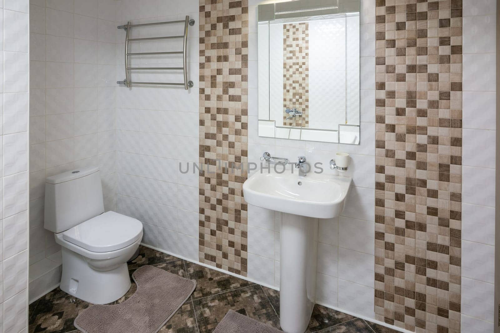 Interior of the spacious toilet room