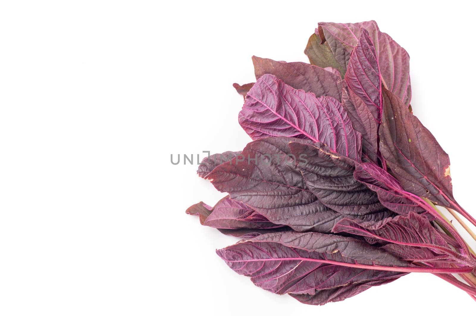 Organic Red amaranth salad leaves, isolated on white background