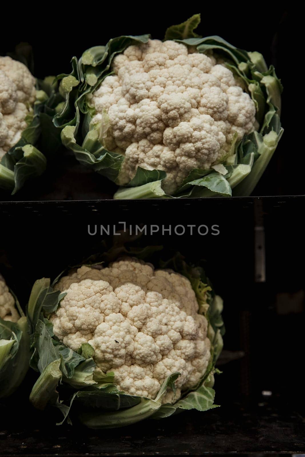 A close-up shot of an abundance of fresh cauliflower on display at a market stall.