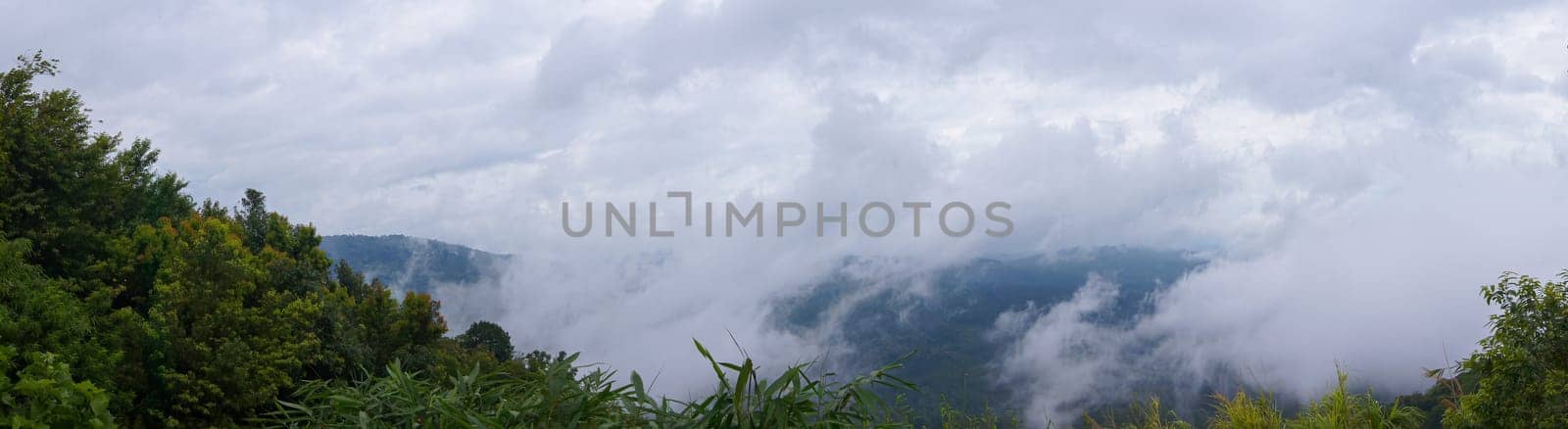 Panorama, Fog on the mountain behind the green forest