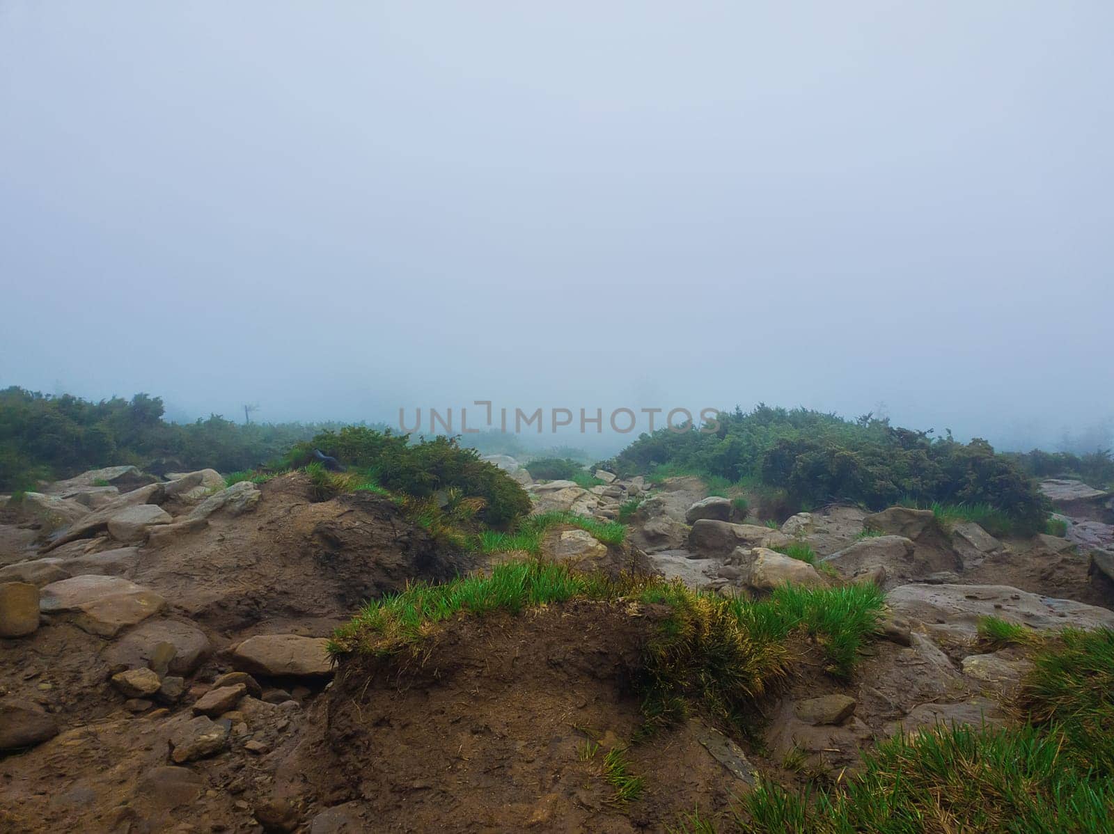 Muddy mountain ground as a mixture of clay rocks and plants typical for spring season on the hills of Carpathians. Gloomy foggy landscape with low visibility on the horizon.