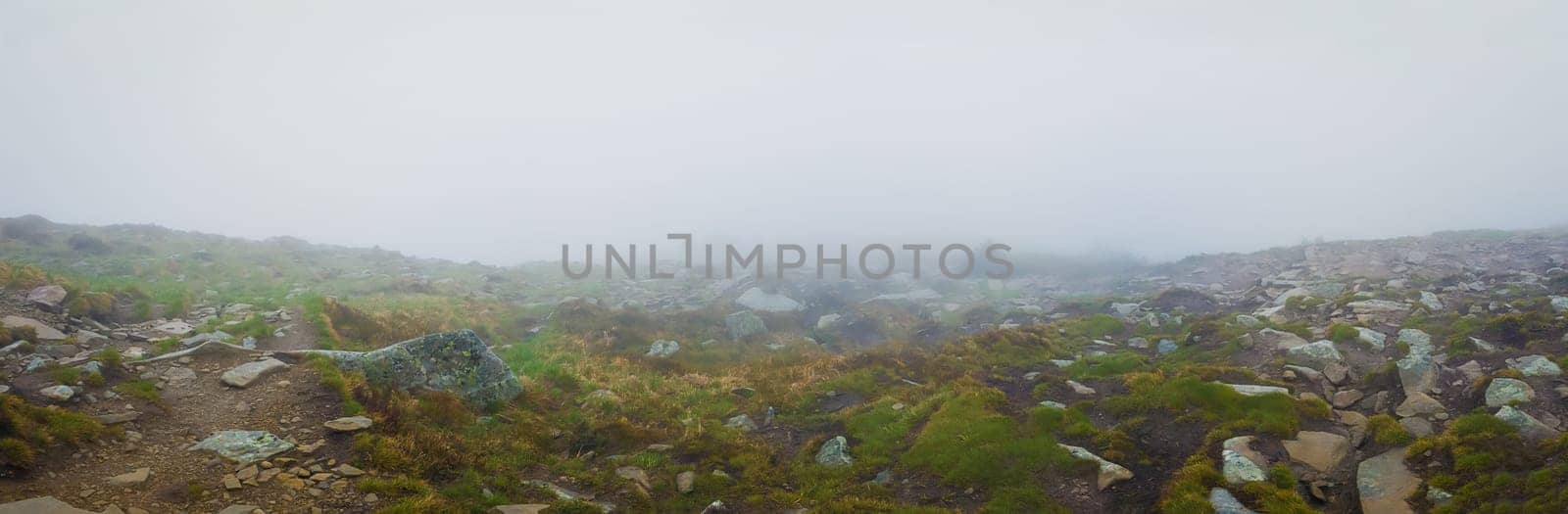 Muddy mountain ground as a mixture of clay rocks and plants typical for spring season on the hills of Carpathians. Gloomy foggy landscape panorama with low visibility on the horizon.