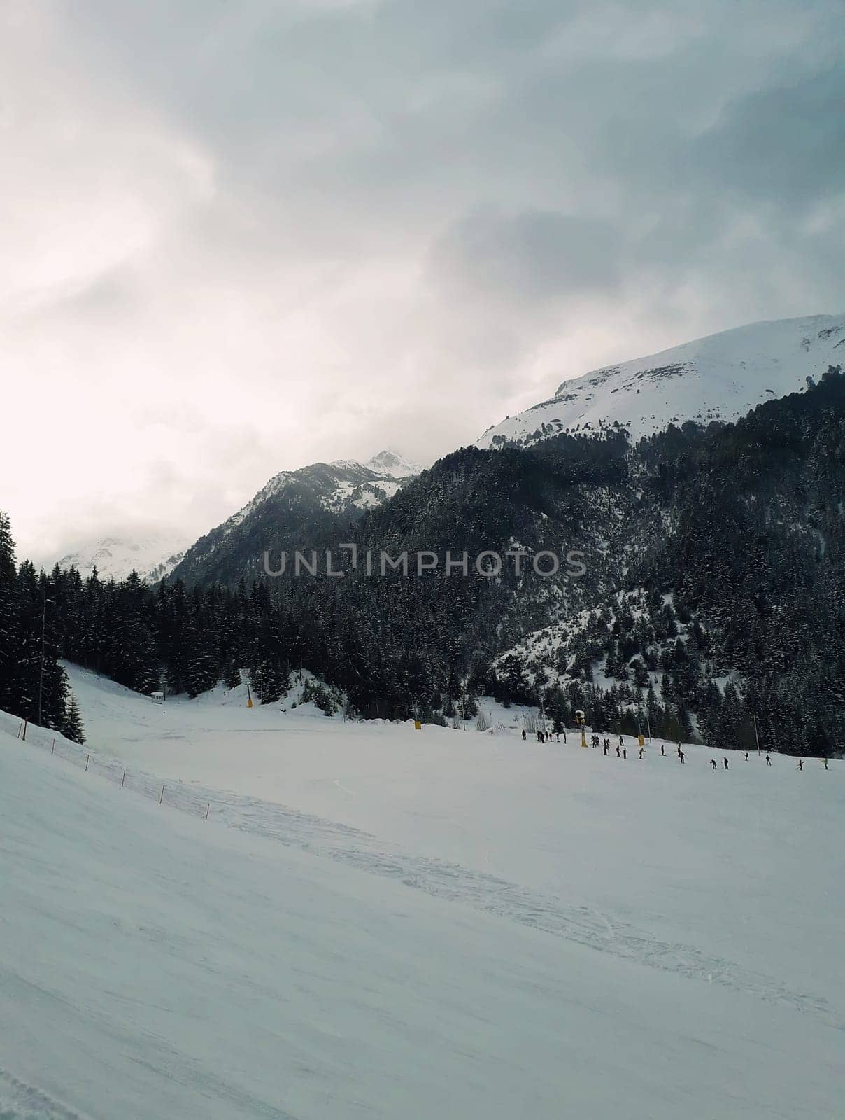 Snowy winter mountains at Bansko, Bulgaria, nature background with fir trees and cloudy sky.