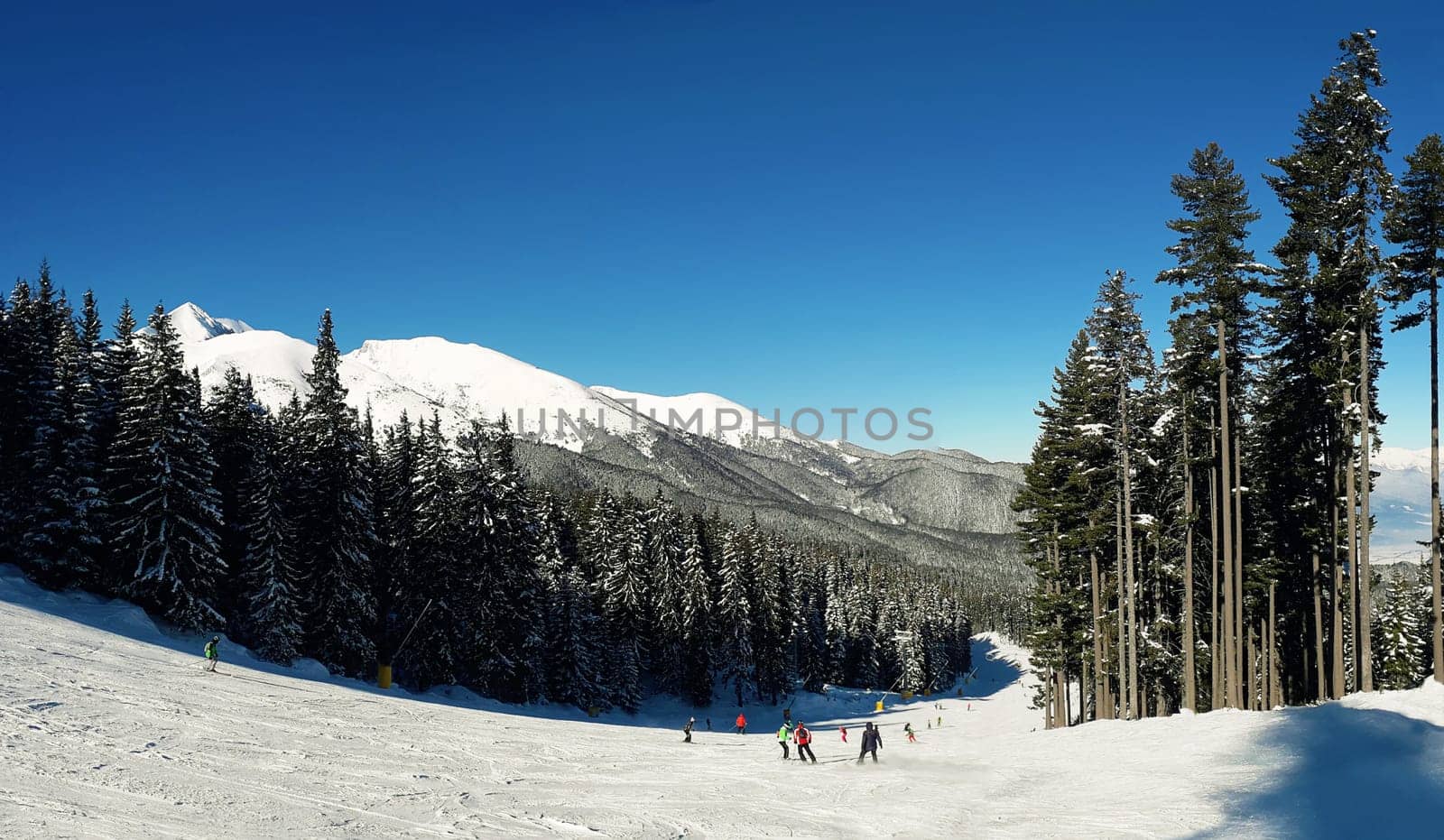 Scenic view of group of skiers on Bansko ski slope with blue sky background. Pirin mountains, Bulgaria.