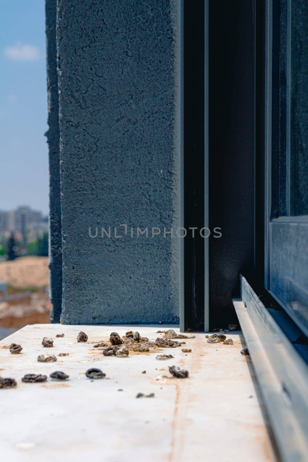 Pigeon droppings on the windowsill. Side View.