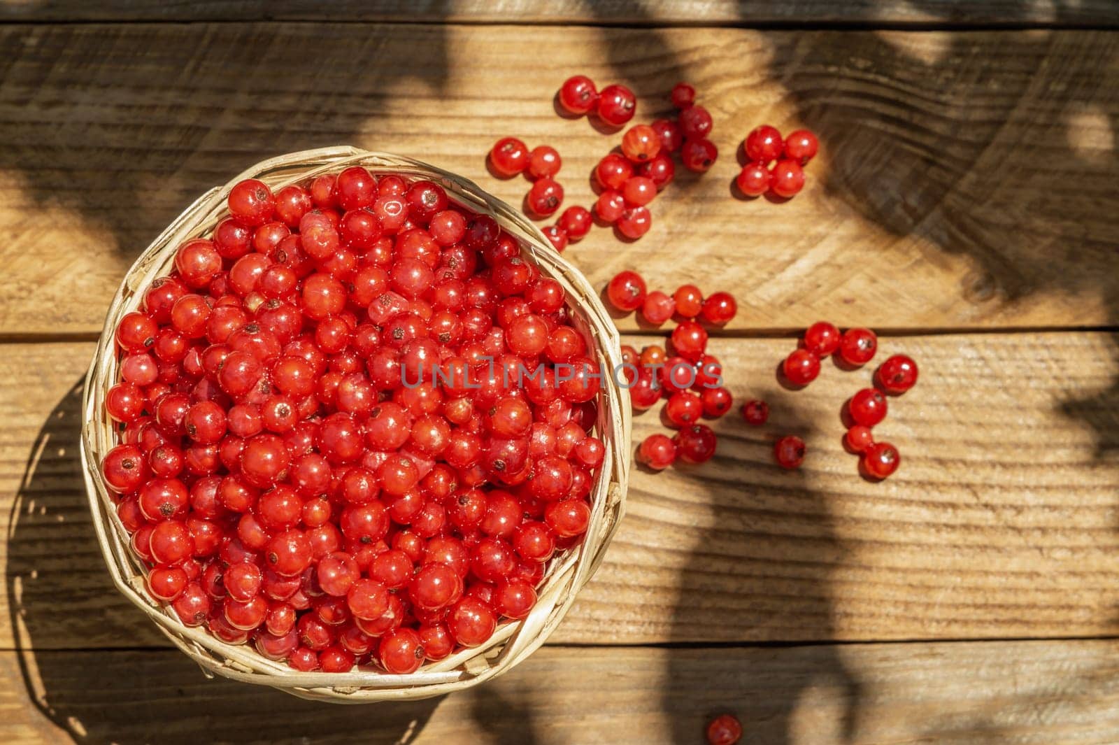 Closeup of a basket with red currants.