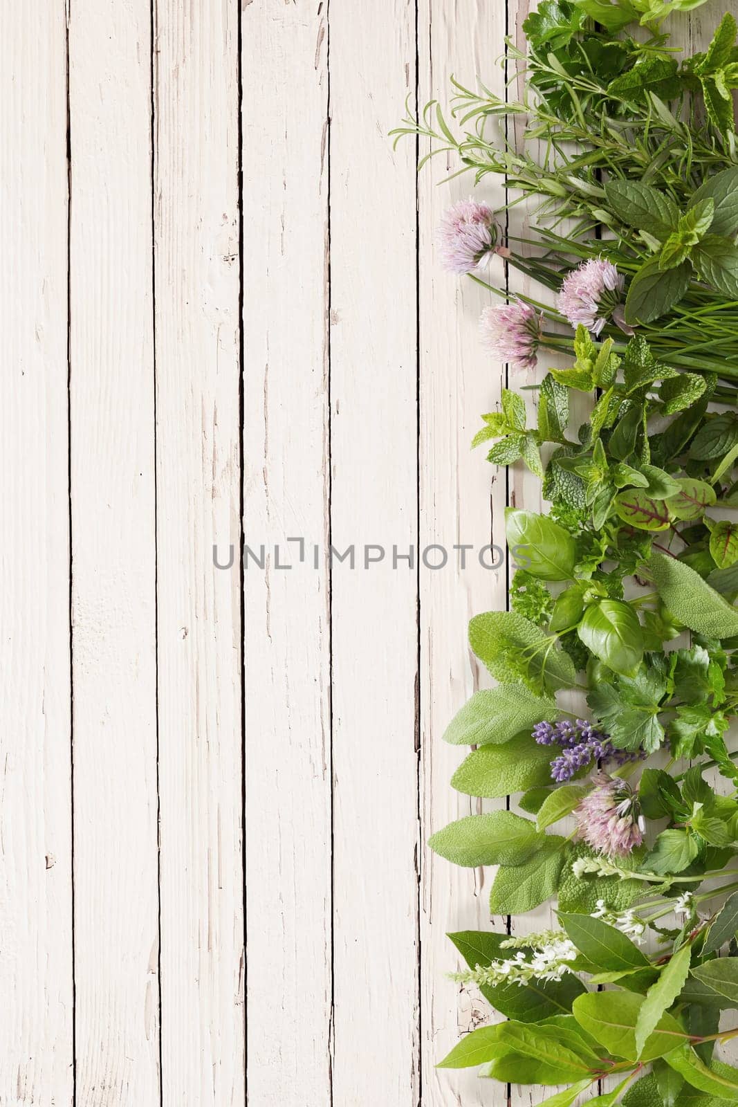 Fresh aromatic culinary herbs and edible flower vertical border on a rustic white painted wood background with copy space