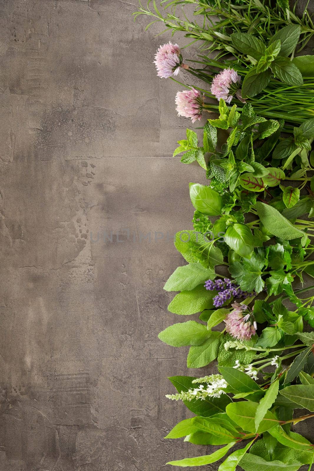 Vertical border of different fresh aromatic herbs for cooking with edible flowers on a textured grey slate background with copy space