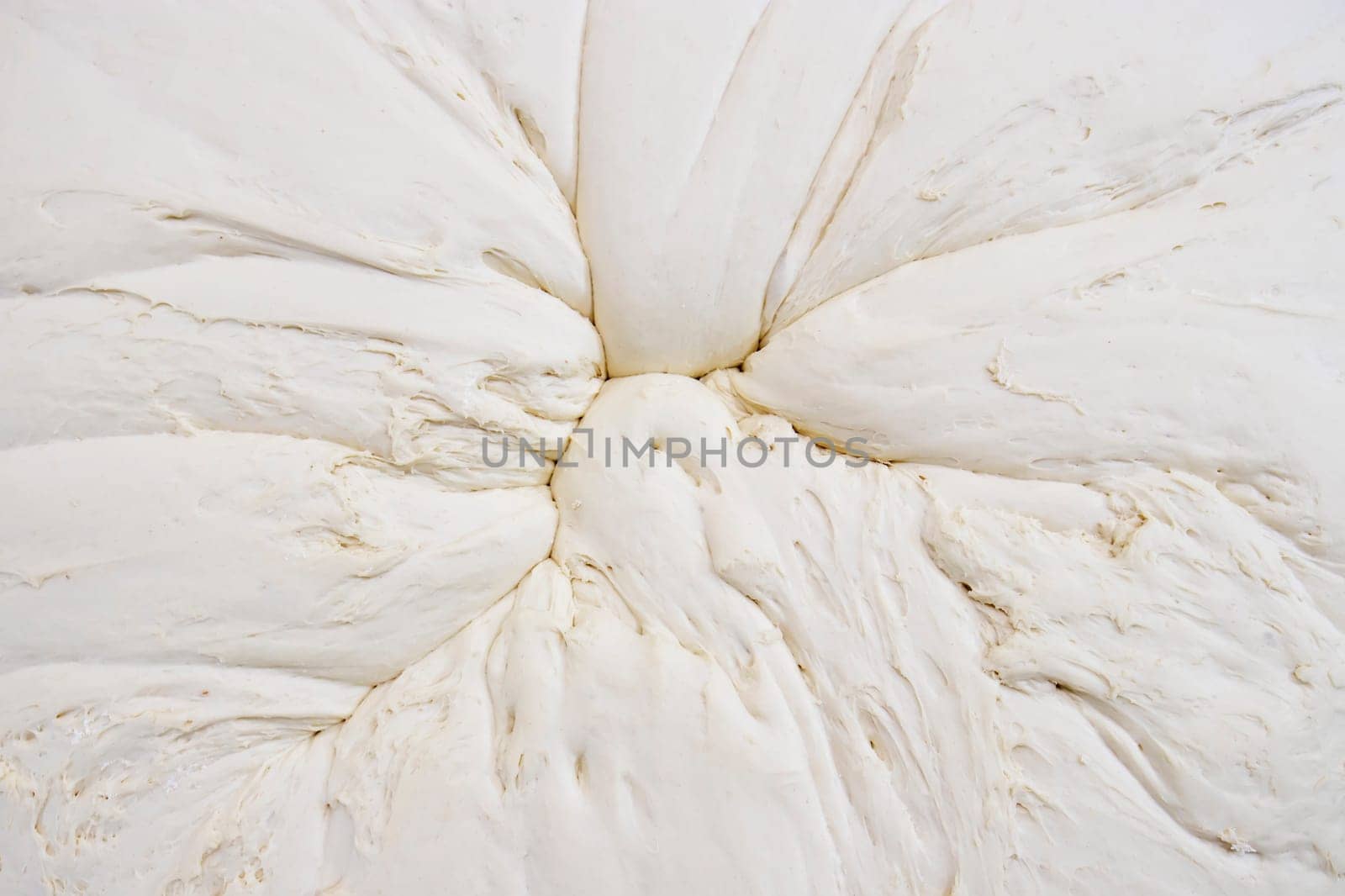 Mixed dough background from above that stands to mature