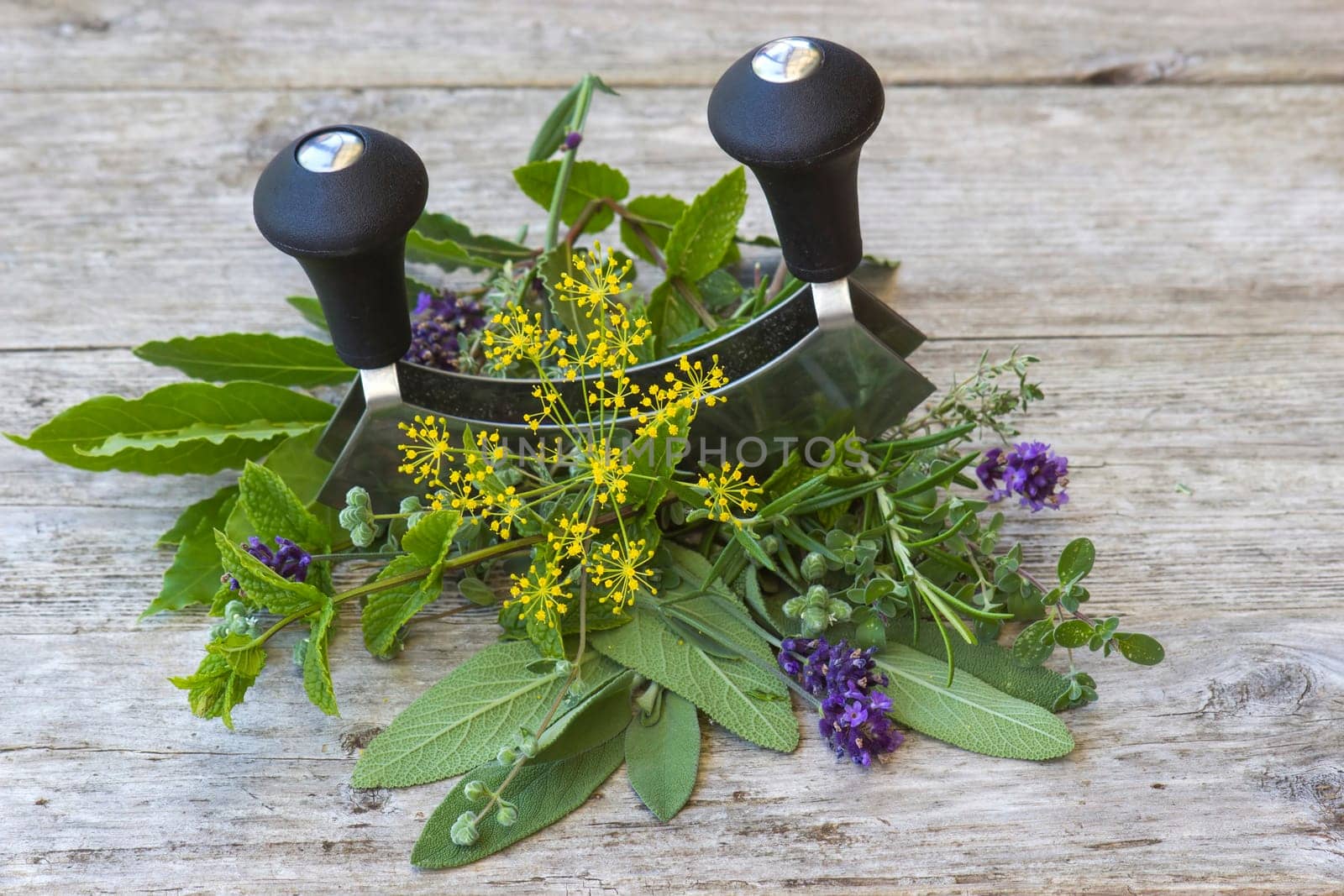Freshly harvested herbs on wooden background