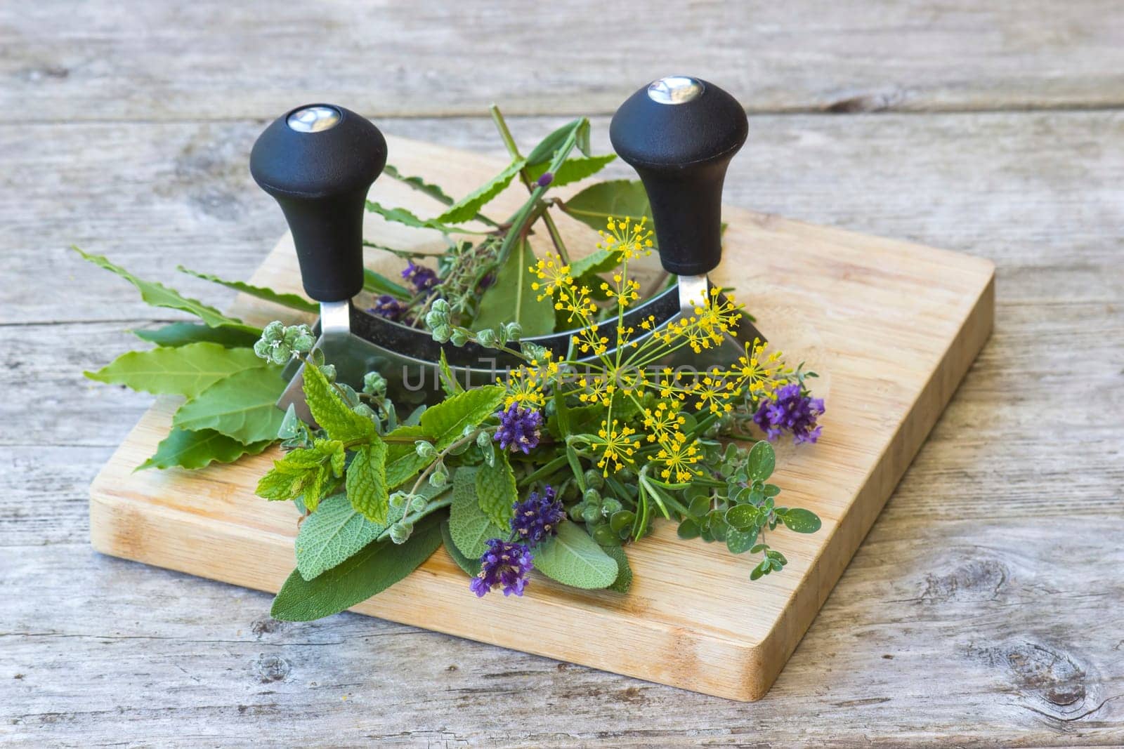Freshly harvested herbs on wooden background