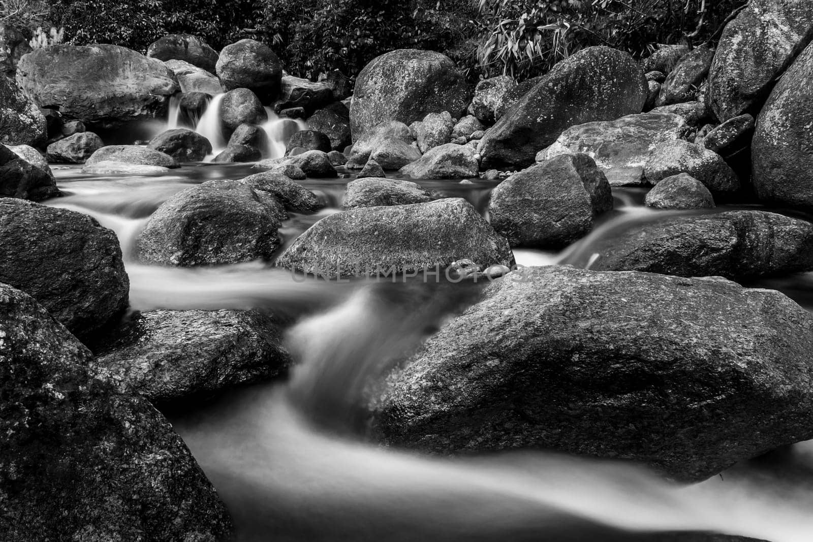 River stone and tree colorful, View water river tree, Stone river in multi color tree leaf in forest, Black and white and monochrome style