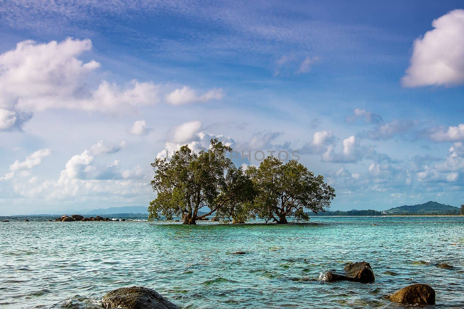 Blue sea and blue sky and tree in the sea summer season