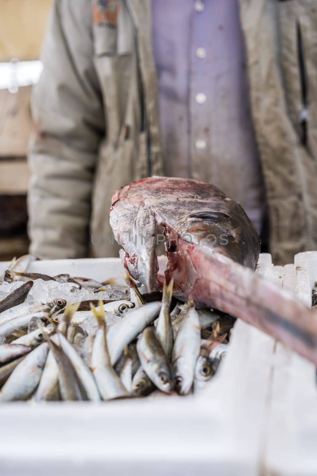 Large swordfish on top of styrofoam boxes of freshly caught fish on a fishermen boat in Zakynthos Port, Zakynthos City, Ionian island, Greece