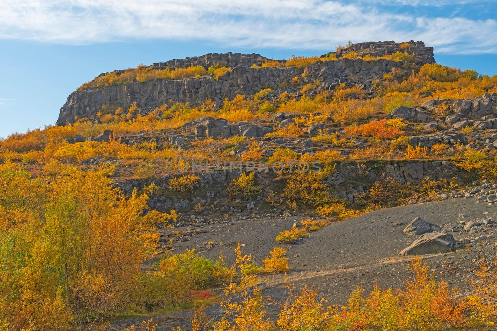 Fall Colors Covering a Volcanic Cliff in Hljodaklettar National Park in Northern Iceland