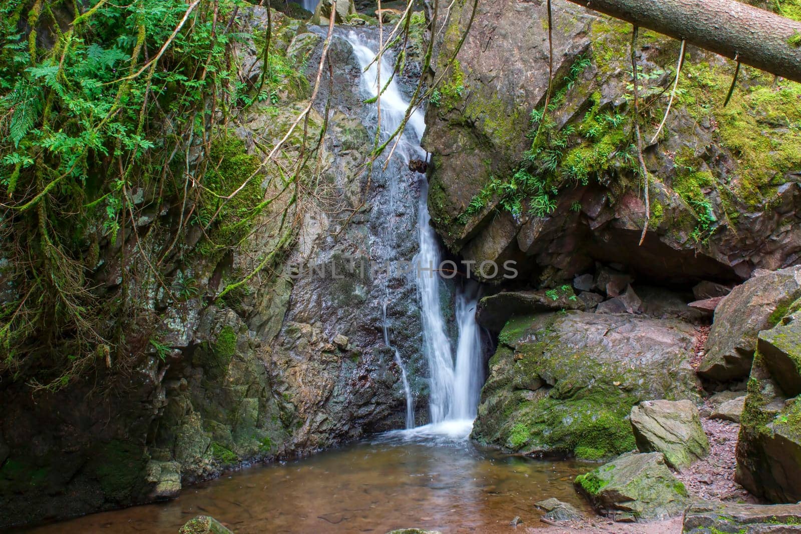 Lotenbach Gorge in Blach Forest, Germany