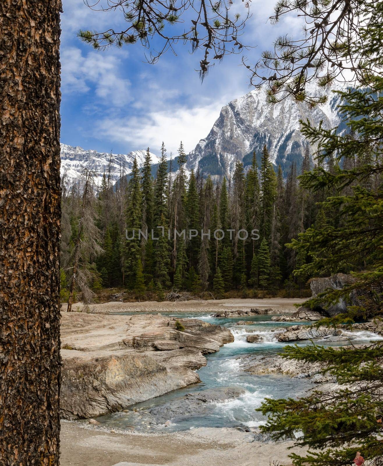 Kicking Horse River at Natural Bridge in Yoho National Park, British Columbia, Canada