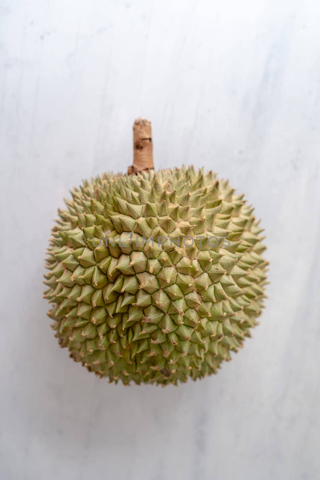 Malaysia famous king of fruits durian Black thorn on grey background.