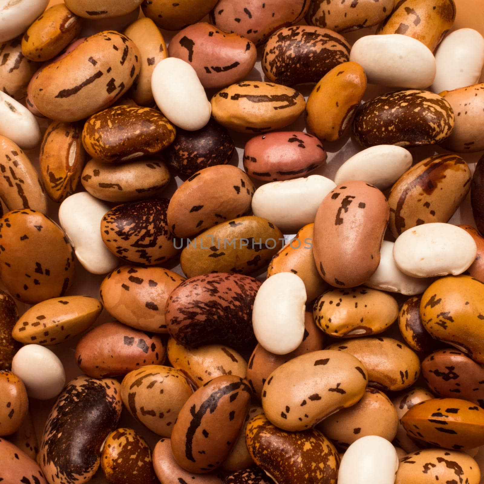 Seeds of colorful different beans, close-up photo of raw legume.