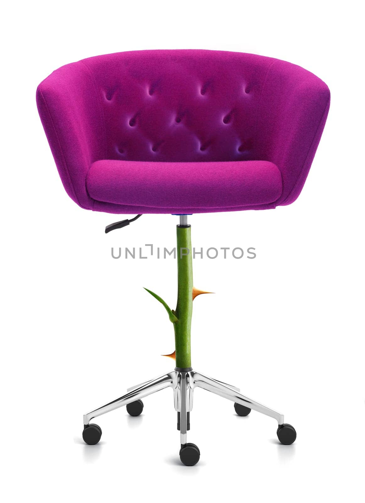 Red Chair with rose stem and thorn, clipping path and alpha channel included.
