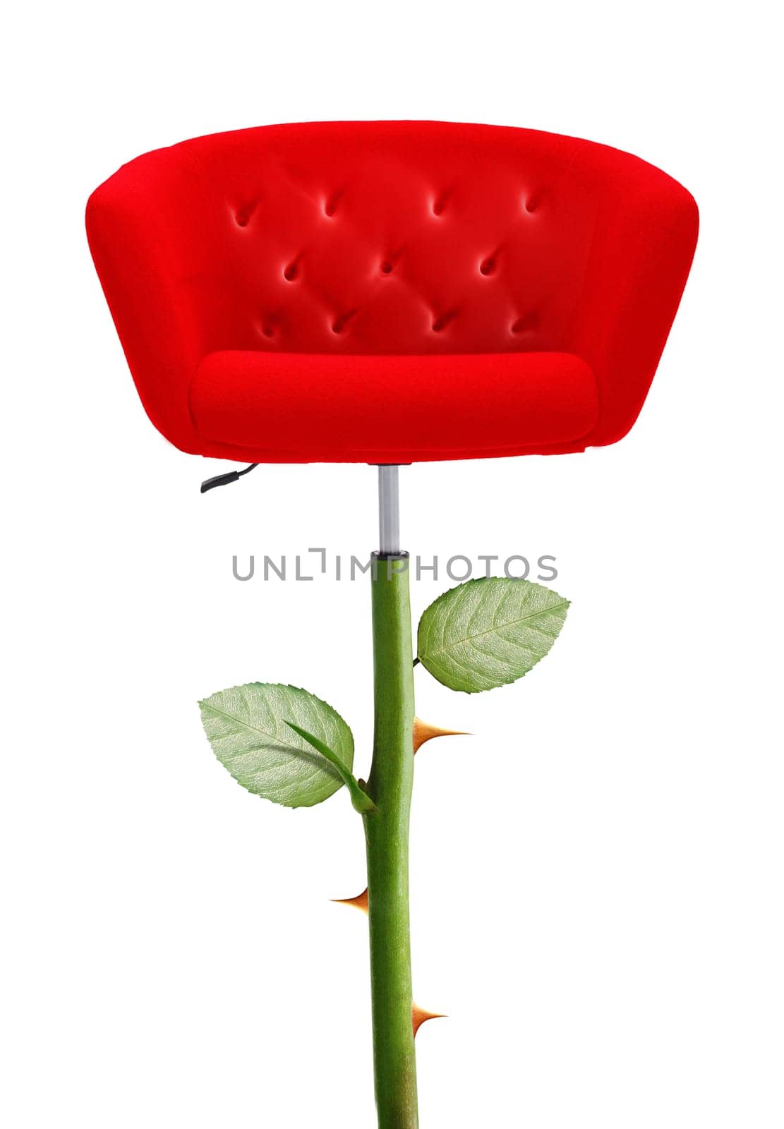Red Chair with rose stem and thorn, clipping path and alpha channel included.