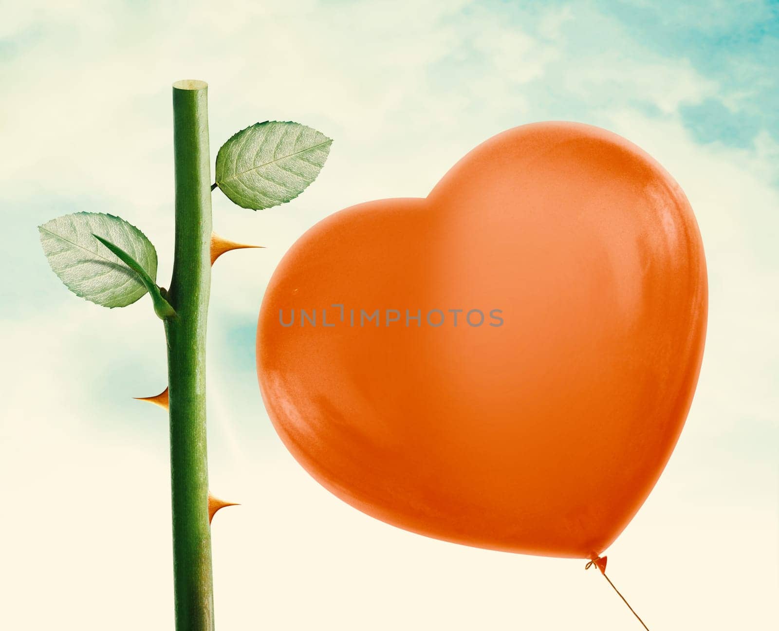 Rose thorn about to pop love heart balloon in vintage blue sky, clipping path and alpha channel included.
