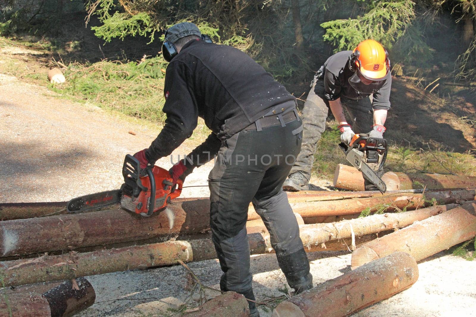forest work