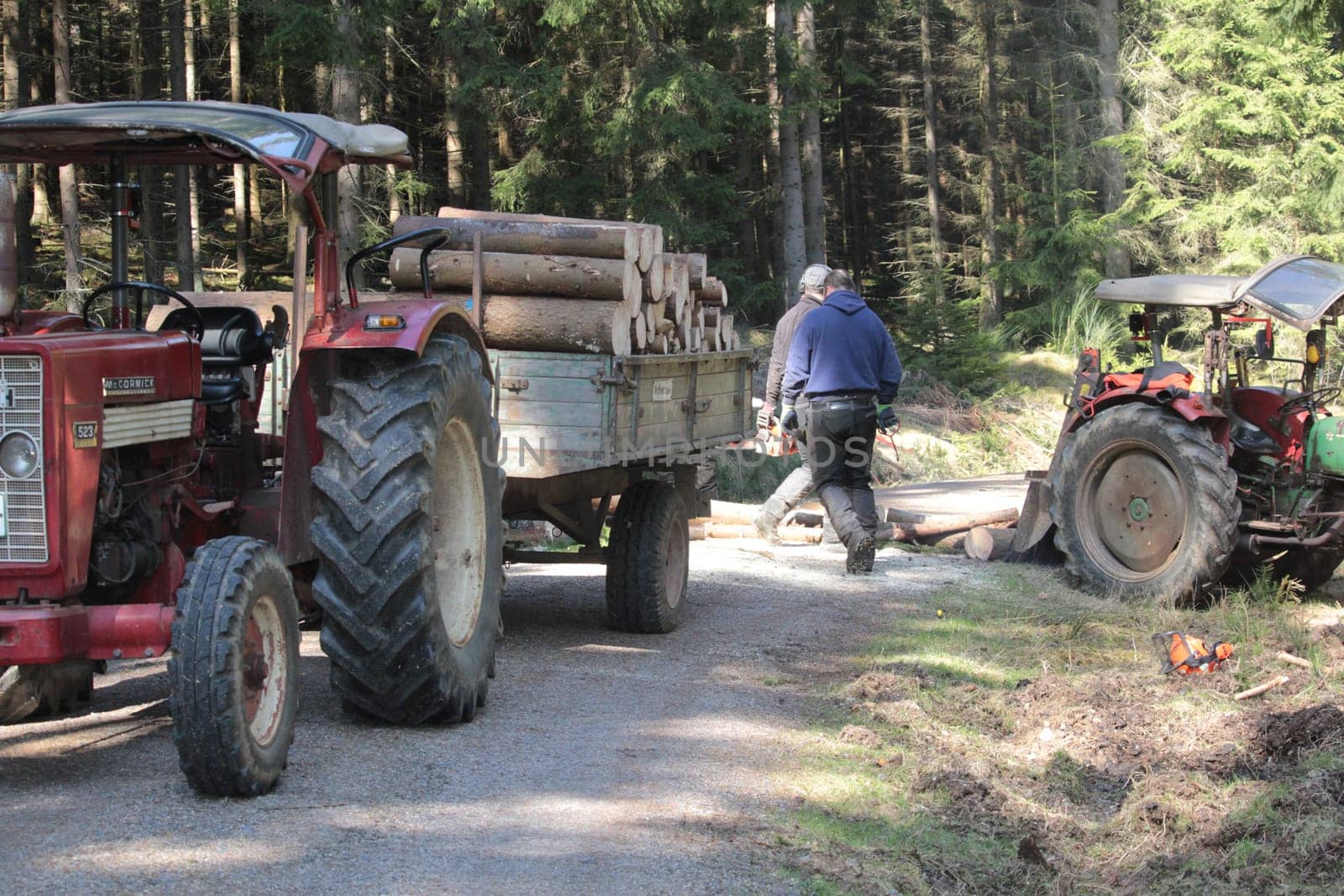 forest work