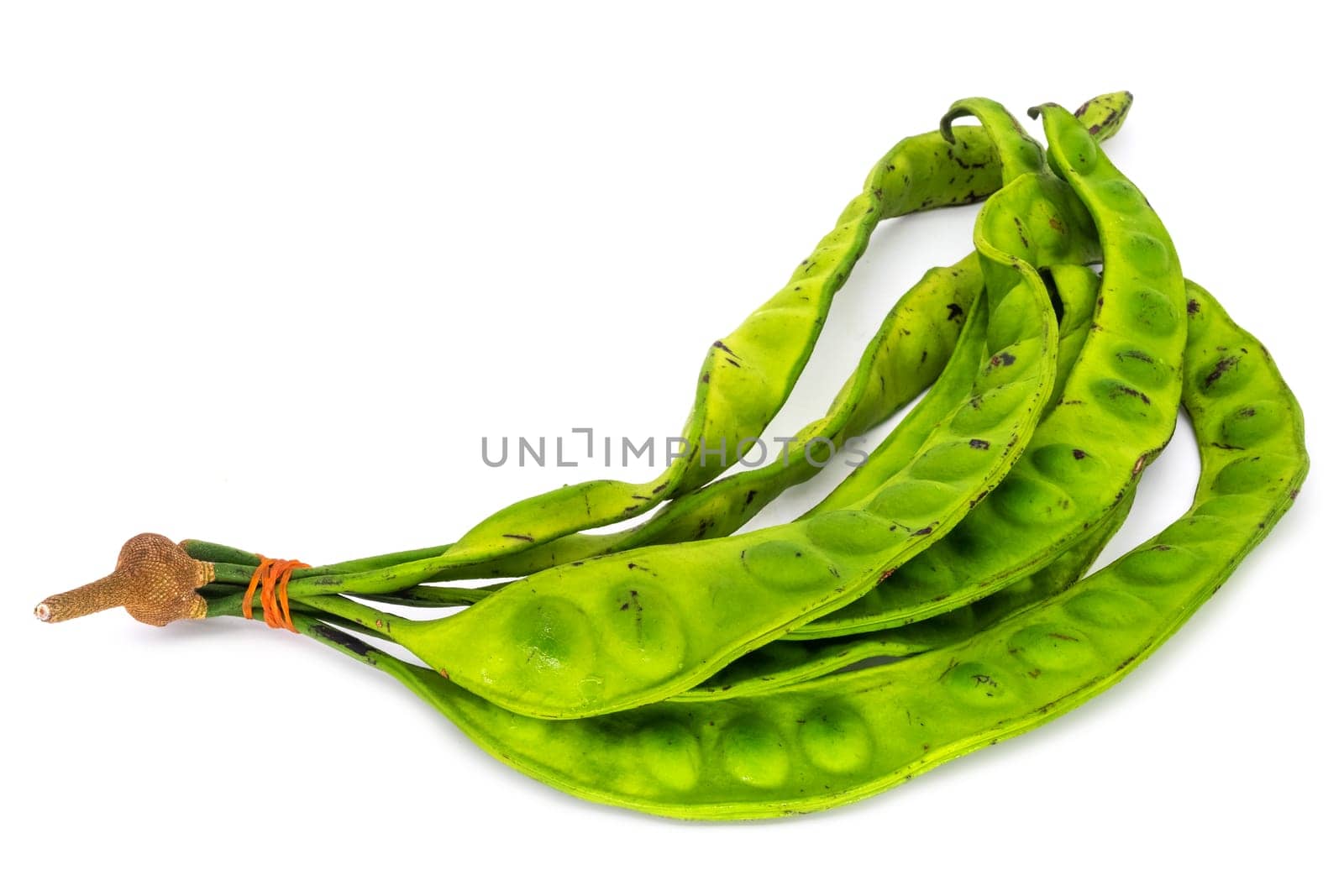 Stink Bean Thailand, close up of twisted cluster bean on white background