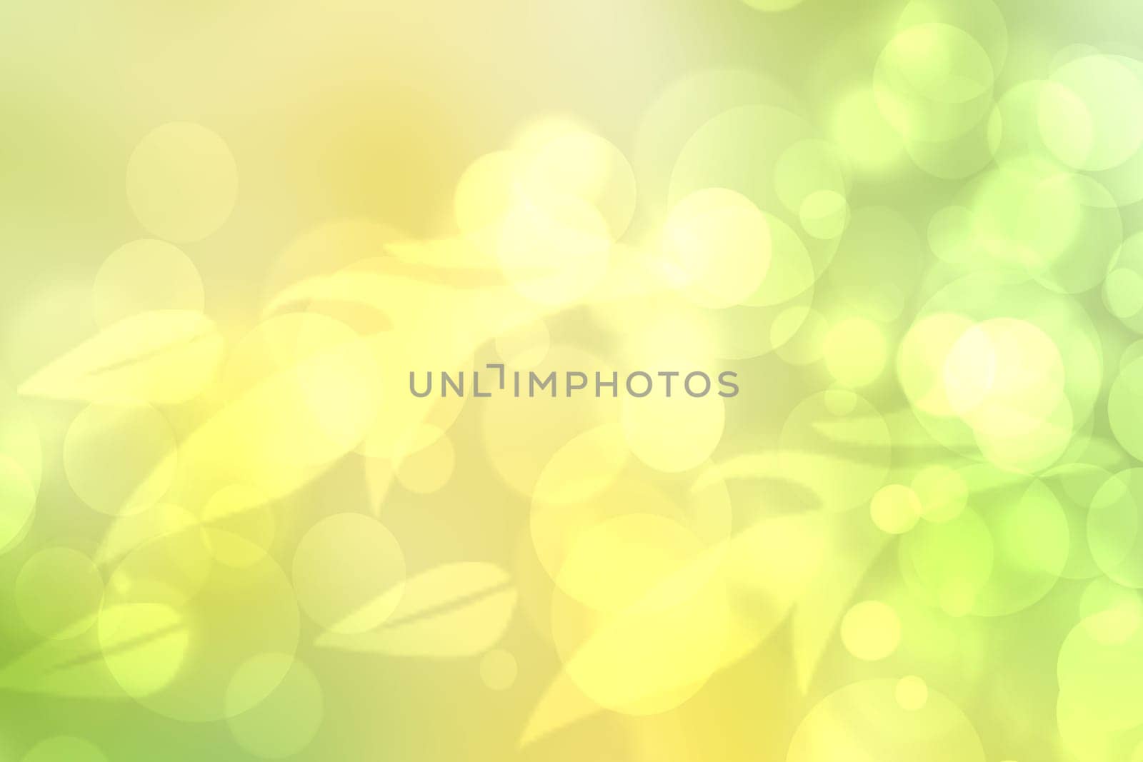 Abstract gradient green light and yellow colorful pastel spring or summer bokeh background with leaves and circular lights. Beautiful texture.