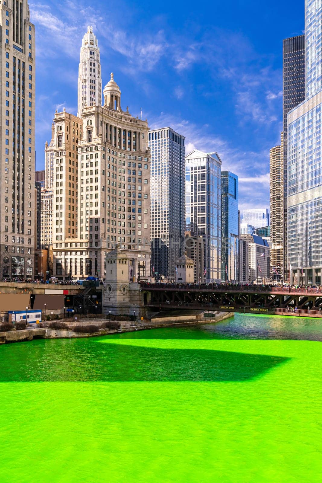 Chicago Skylines building along green dyeing river of Chicago River on St. Patrick day festival in Chicago Downtown IL USA