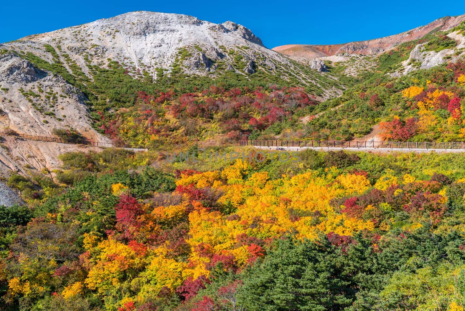 Autumn fall foliage Mountain at Mt.Bandai in Fukushima Tohoku Japan