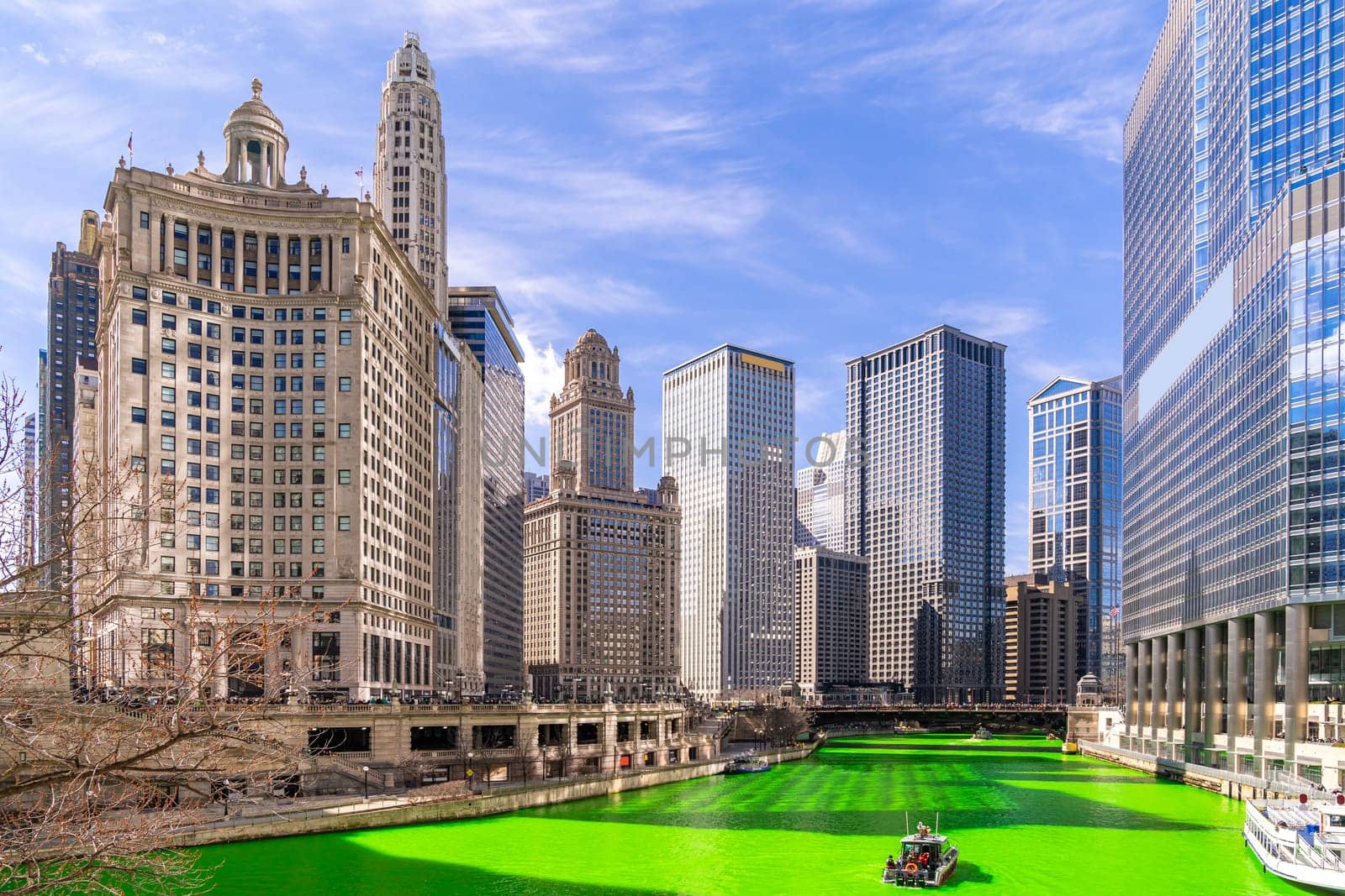 Chicago Skylines building along green dyeing river of Chicago River on St. Patrick day festival in Chicago Downtown IL USA