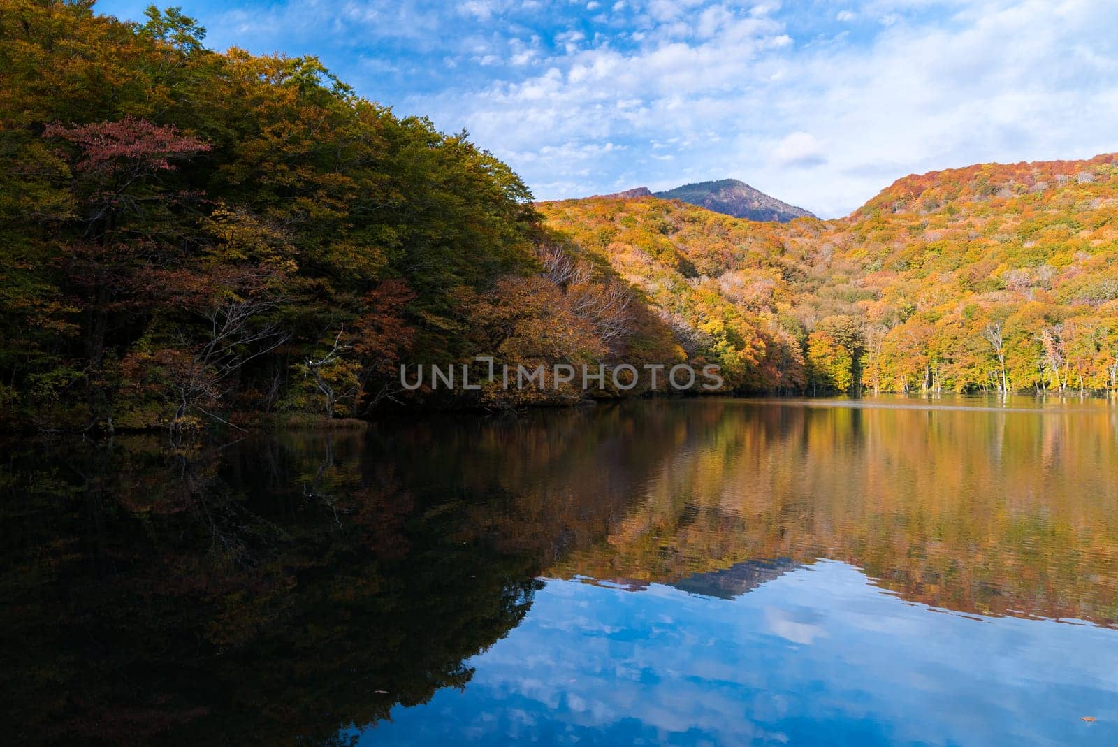 Autumn Fall Lake with reflection in Aomori Tohoku Japan