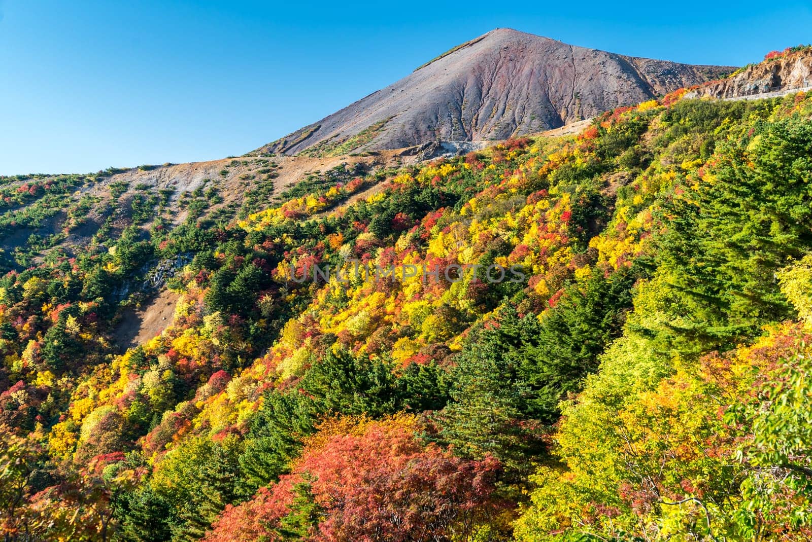 Autumn fall foliage Mountain at Mt.Bandai in Fukushima Tohoku Japan