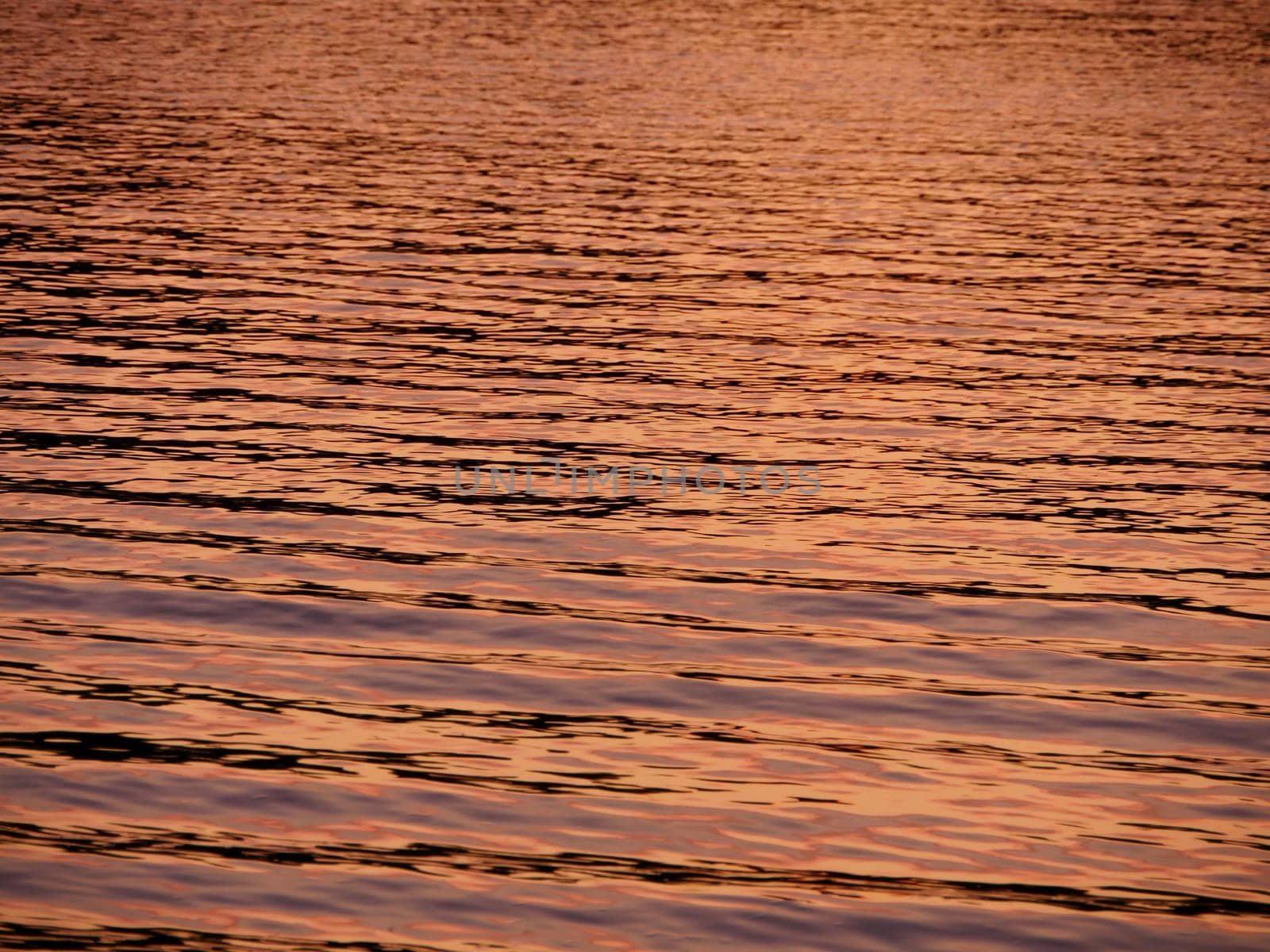 water golden color sun paints the sea surface background