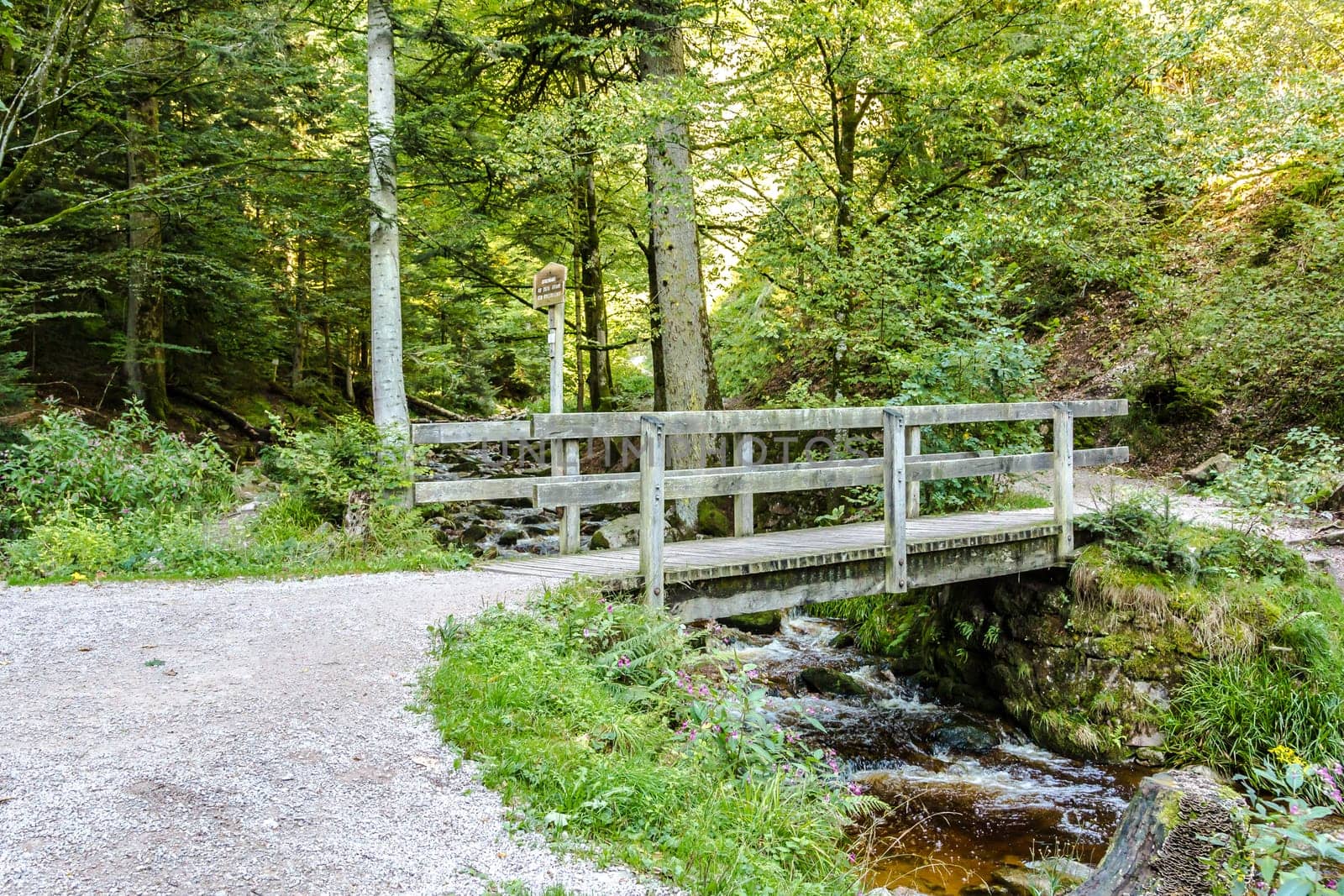 Scenic landscape of a rustic wooden bridge on a trail or footpath over a fast flowing forest stream amongst leafy green deciduous trees