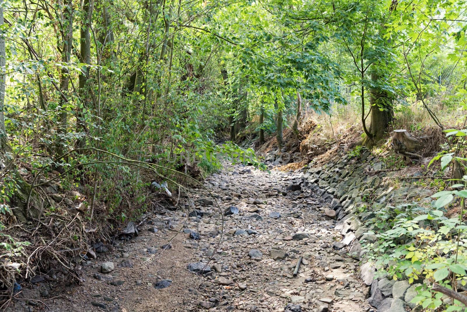 Bed of a dried out creek in the west of Frankfurt am Main