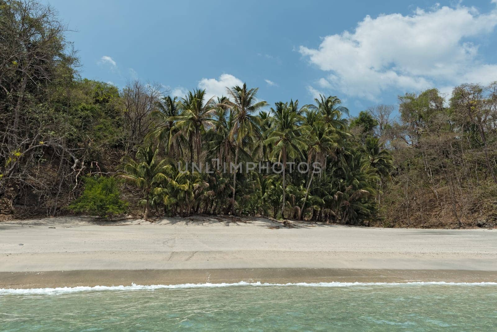 tropical palm beach on the cebaco island panama