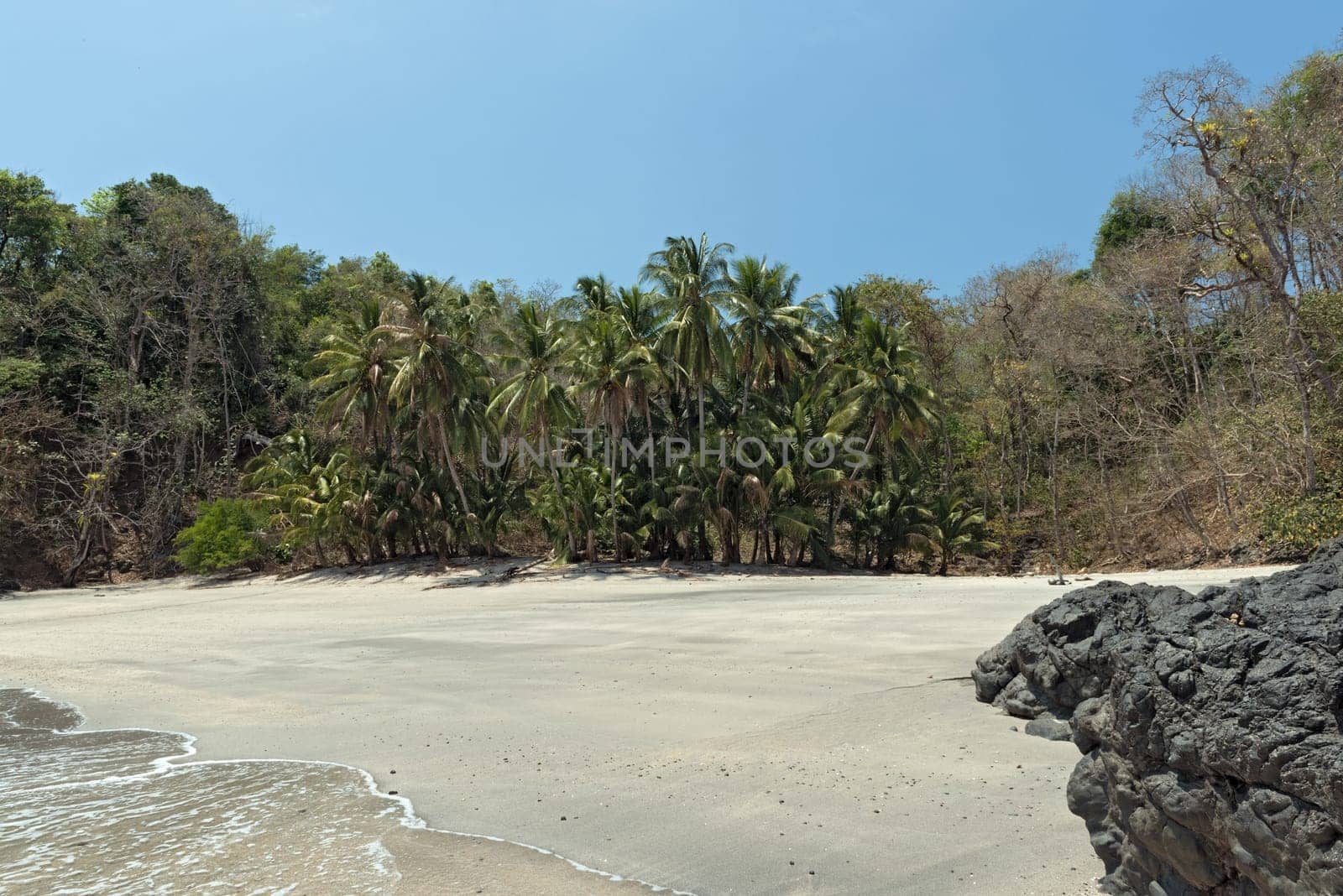 tropical palm beach on the cebaco island panama