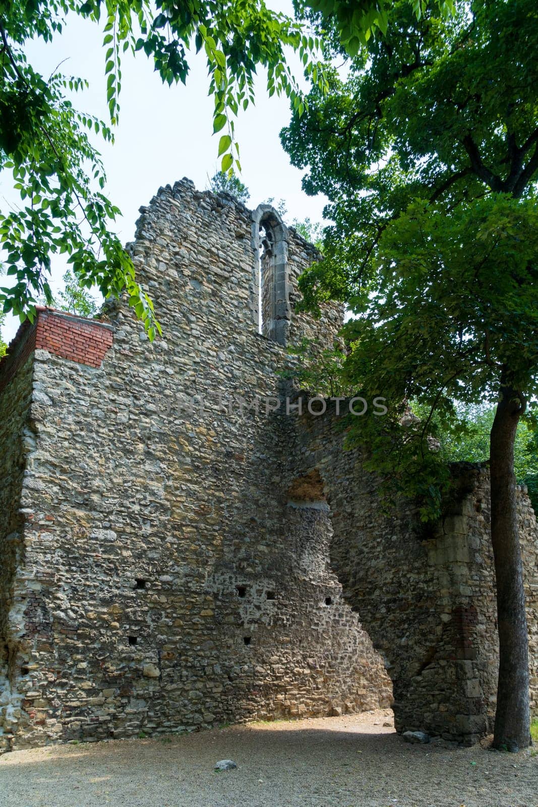 Budapest, Hungary - July 08, 2019: The Margaret Island on the Danube, between Buda and Pest, is a quiet green area of the city. The pedestrian walkways pass through the park, which houses the ruins of a Dominican convent, a musical fountain and a small zoo.