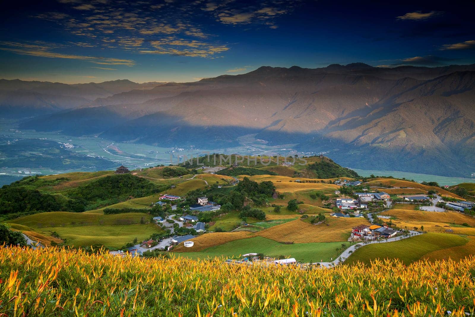 The Aerial view of the famous and beautiful Daylily flower at sixty Stone Mountain in Hualien Taiwan