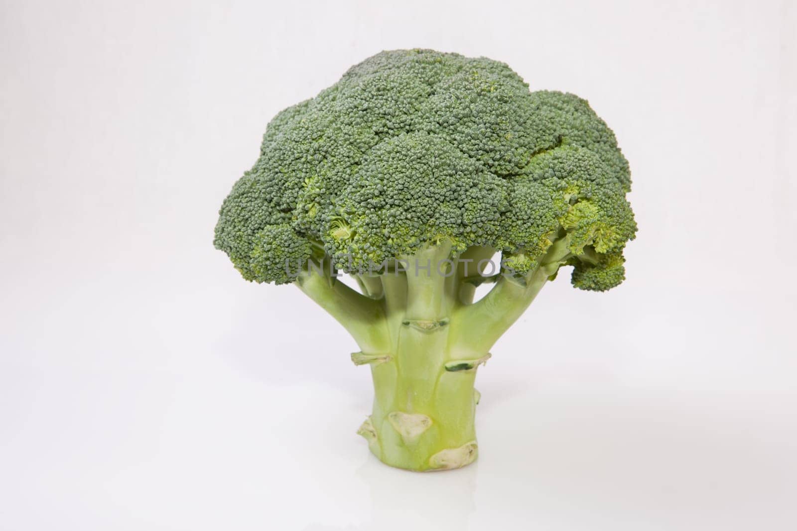 Whole broccoli plant set as a tree. Isolated on white background