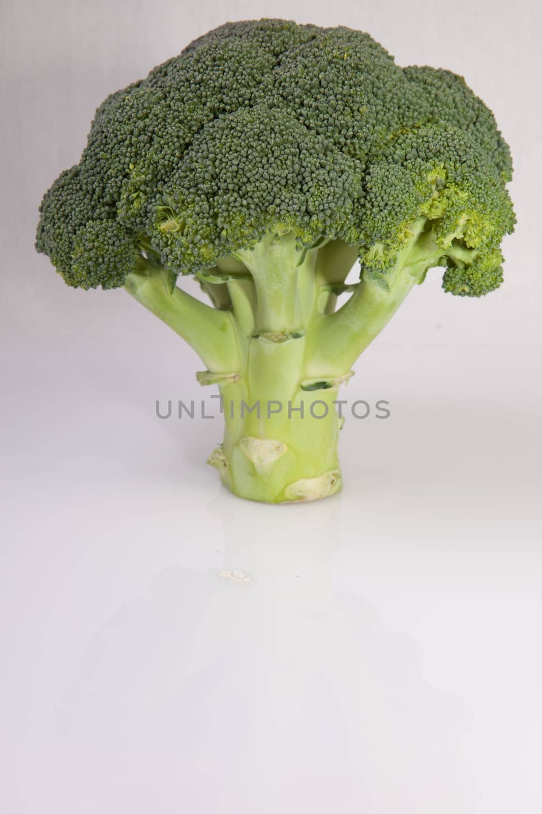 Whole broccoli plant set as a tree. Isolated on white background